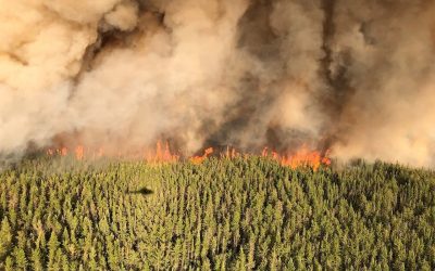 آتش سوزی‌های کانادا به رکورد ۱۰ میلیون هکتار رسید