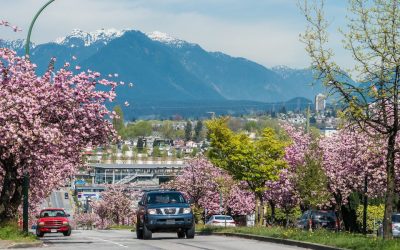 بهترین نقاط شهر برای لذت بردن از شکوفه‌های گیلاس ونکوور