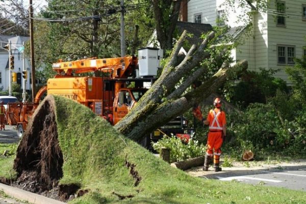 توفان دوریان توفان دوریان