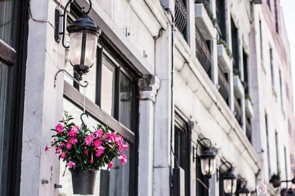 مشاغل مونترال