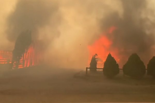 اخبار کوتاه کانادا