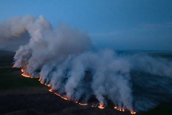 آتشسوزیهای جنگلی آلبرتا، جدیدترین فاجعه اقلیمی پرهزینه برای کانادا آتشسوزیهای جنگلی آلبرتا، جدیدترین فاجعه اقلیمی پرهزینه برای کانادا