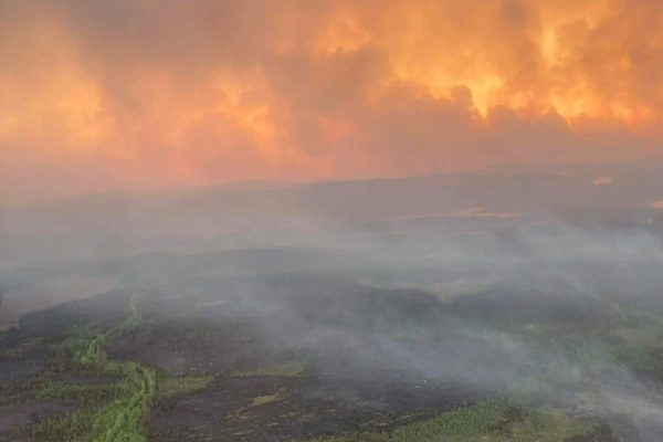 افزایش مناطق تخلیه شده در ادامه آتش سوزی‌ کبک