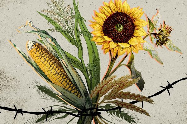 چگونه جنگ در اوکراین بر سفره‌های مردم سرتاسر جهان تاثیر گذاشته است؟