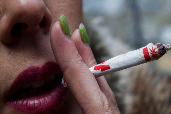 جوانان کبکی زیر ۲۱ سال از فردا مجاز به خرید ماریجوانا نیستند