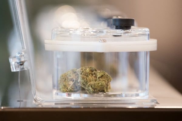 افزایش شکاف قیمت‌ها با کاهش قیمت ماریجوانا در بازار سیاه