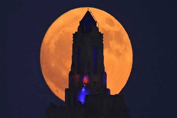 جهان به روایت تصاویر: بهترین عکسهای خبری بینالمللی جهان به روایت تصاویر: بهترین عکسهای خبری بینالمللی