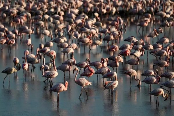 جهان به روایت تصاویر: بهترین عکس‌های خبری بین‌المللی