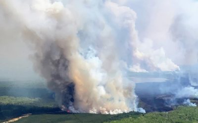 ماراتن بی‌پایان آتش‌ سوزی‌ جنگلی در کانادا