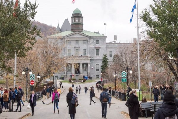 آیا ادامه تحصیل واقعا می‌تواند منجر به پیشرفت شغلی شود؟