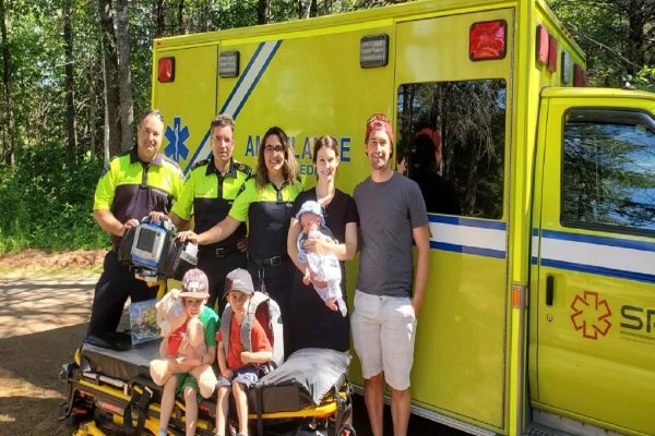 اخبار کوتاه/ از تولد نوزاد کبکی در بزرگراه تا خرید میلیون‌ها دوز واکسن آنفلونزا