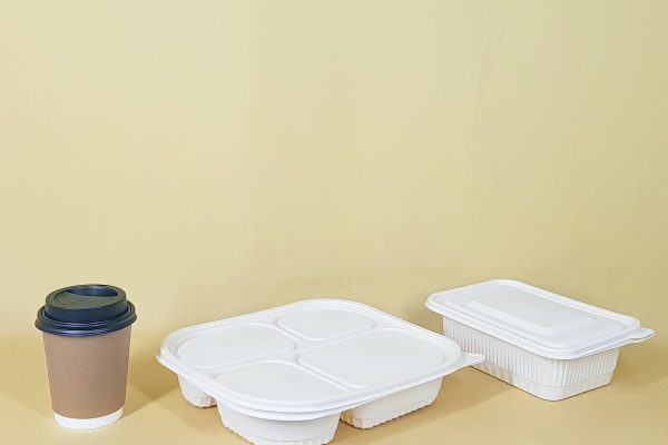 استفاده از کیسههای پلاستیکی یک بار مصرف در مونترال رسما ممنوع شد استفاده از کیسههای پلاستیکی یک بار مصرف در مونترال رسما ممنوع شد