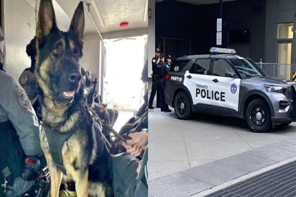 مردی بدلیل قتل دوست پسر دخترش و سگ پلیس به ۱۴ سال زندان محکوم شد مردی بدلیل قتل دوست پسر دخترش و سگ پلیس به ۱۴ سال زندان محکوم شد